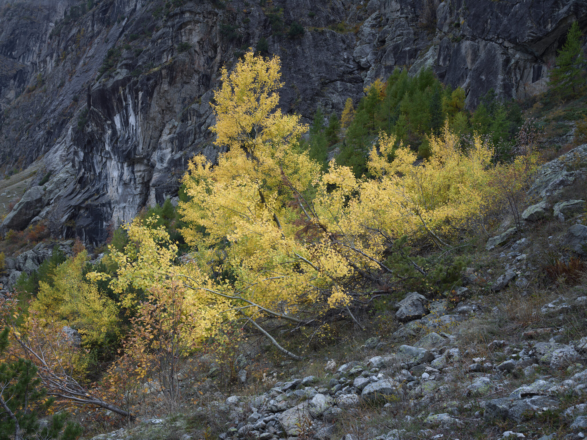 mathieupicollet_photographe_nature_paysage_ecrins_10