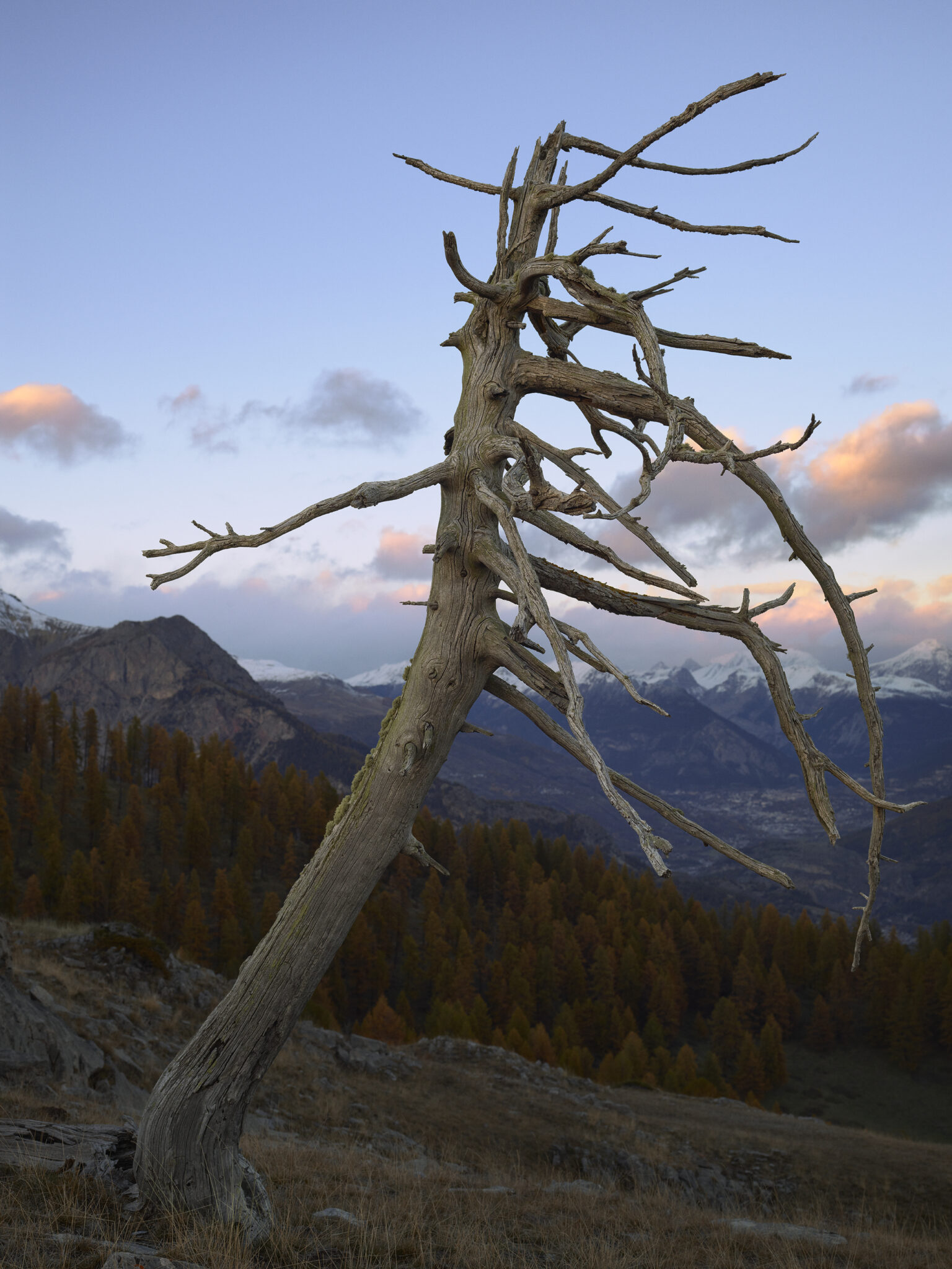 mathieupicollet_photographe_nature_paysage_ecrins_12