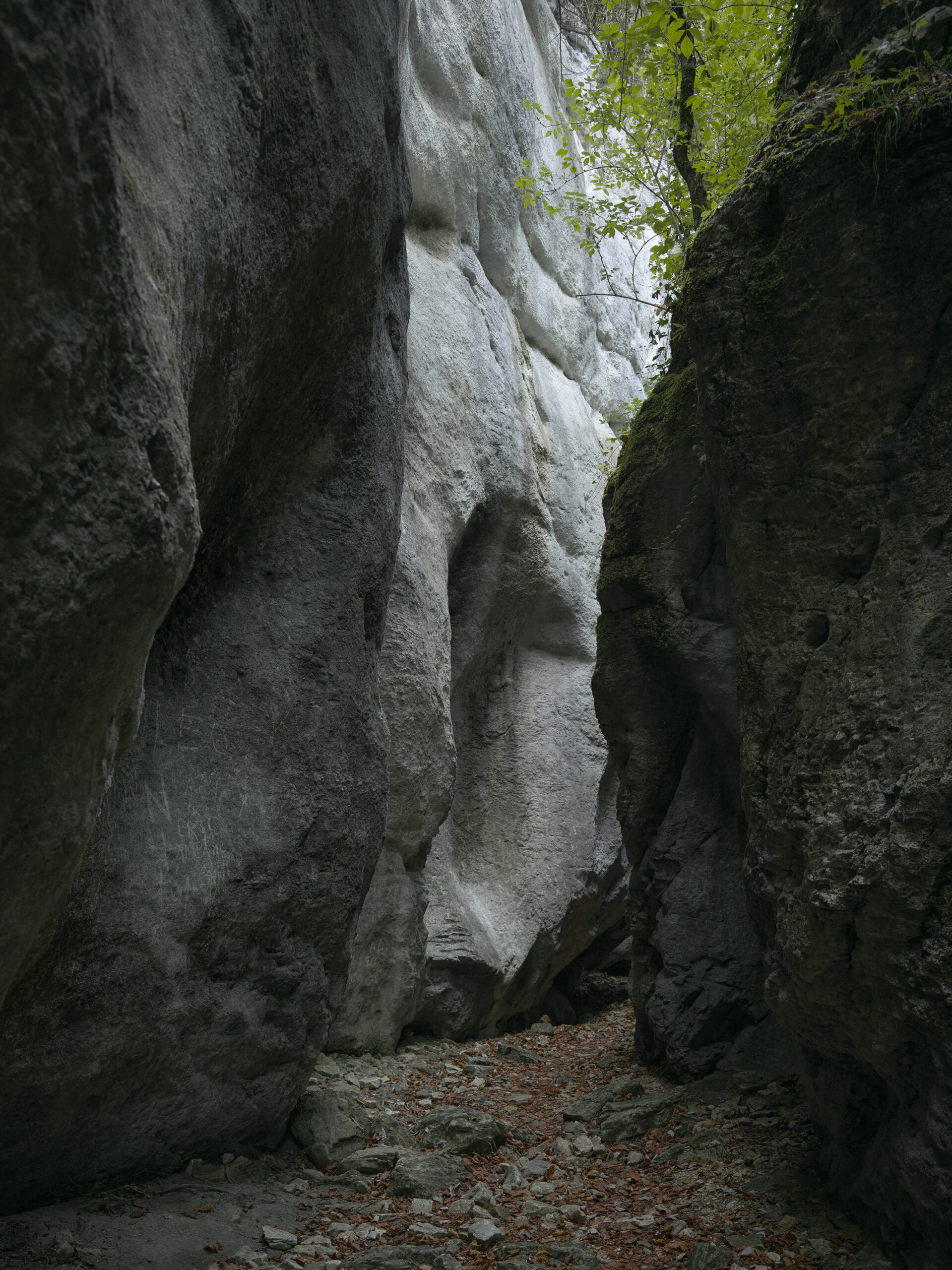 mathieupicollet_photographe_nature_paysage_vercors_2