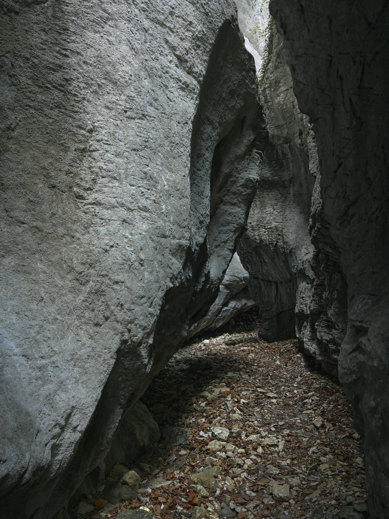 mathieupicollet_photographe_nature_paysage_vercors_3