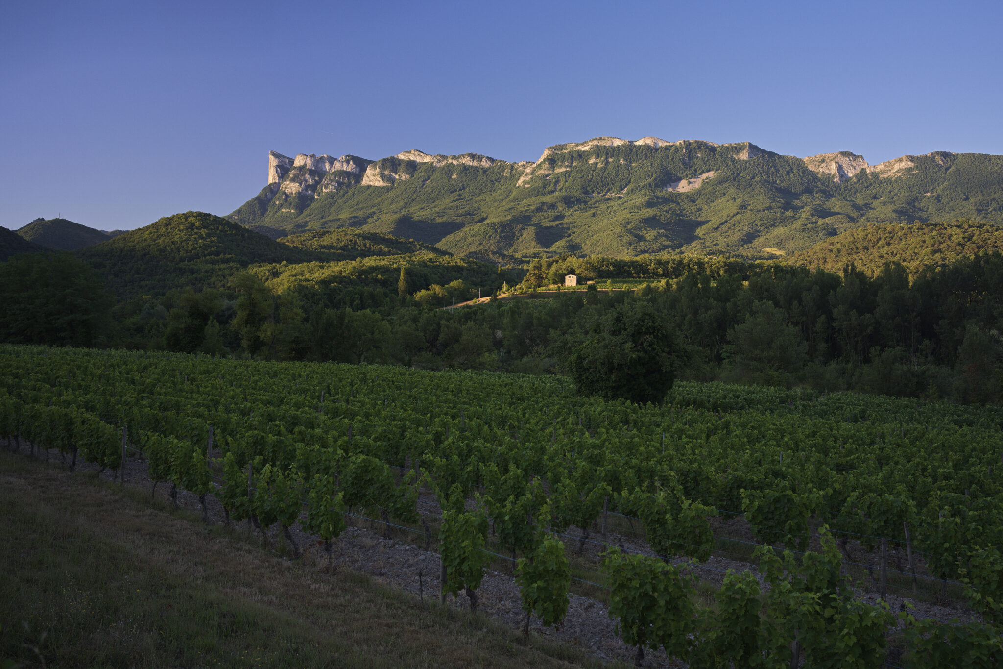 mathieupicollet_photographe_nature_paysage_vercors_4